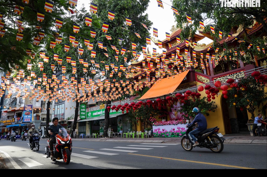 7-doa-sen-khong-lo-bung-sang-tren-kenh-nhieu-loc_phat dan1.jpg